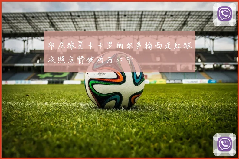 印尼球员卡卡罗纳尔多梅西走红球衣照点赞破两万六千